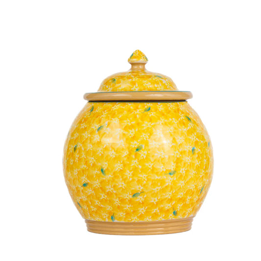 Nicholas Mosse Yellow Lawn Cookie Jar