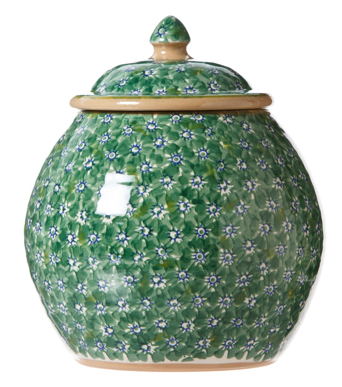Nicholas Mosse Green Lawn Cookie Jar